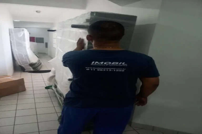 empresa de mudancas em Sao Paulo com equipe treinada e uniformizada