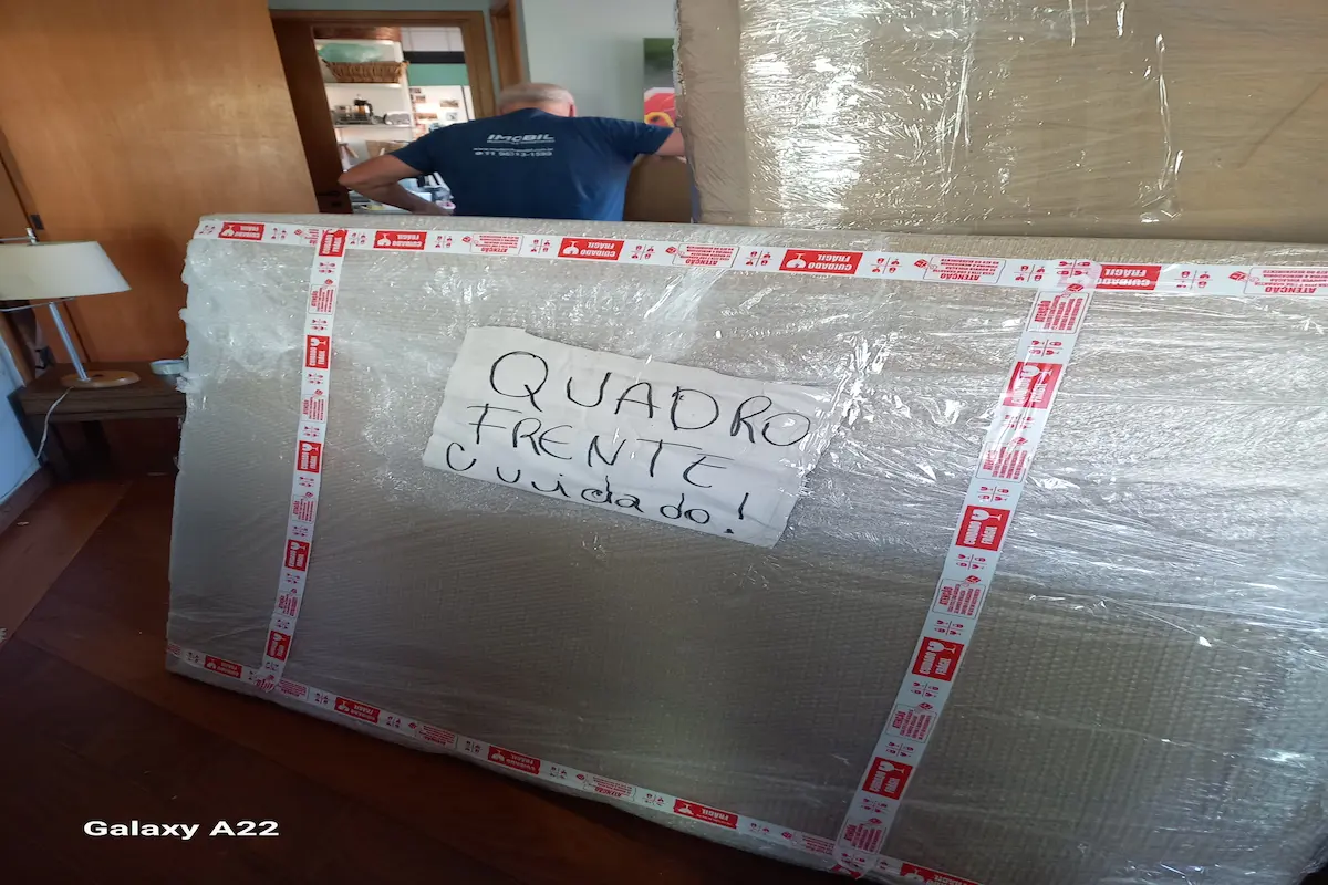 embalagem profissional para mudança em apartamento em São Paulo